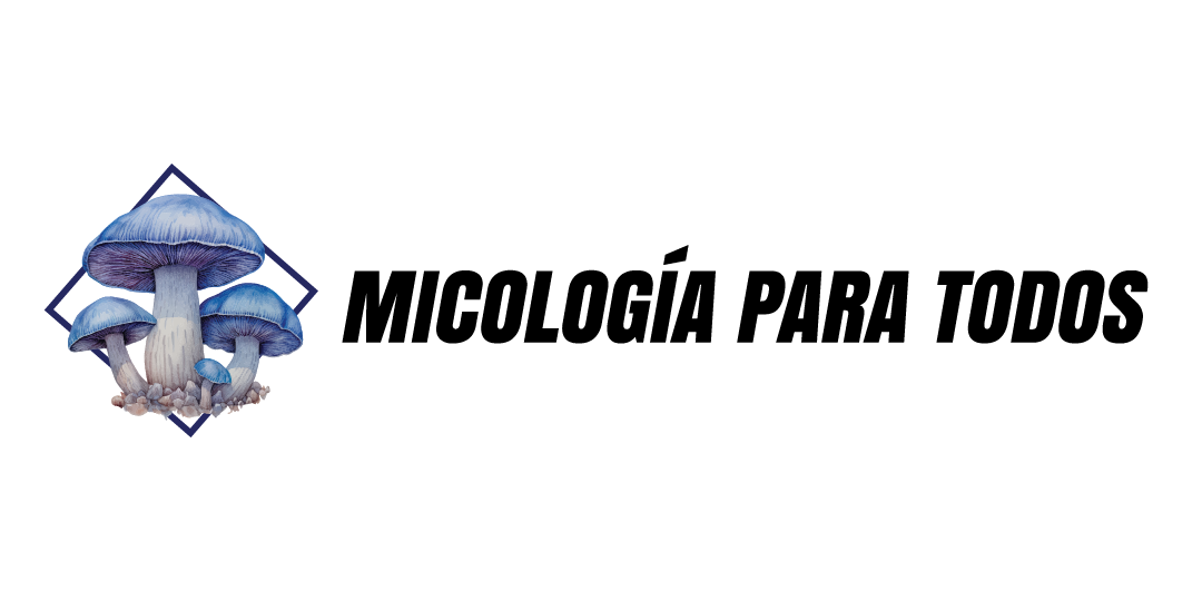 PRINCIPAL